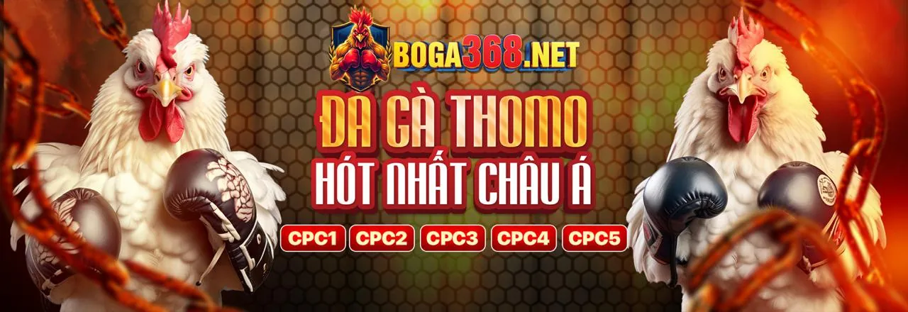 Gà đá trực tuyến hấp dẫn trên ứng dụng 32win